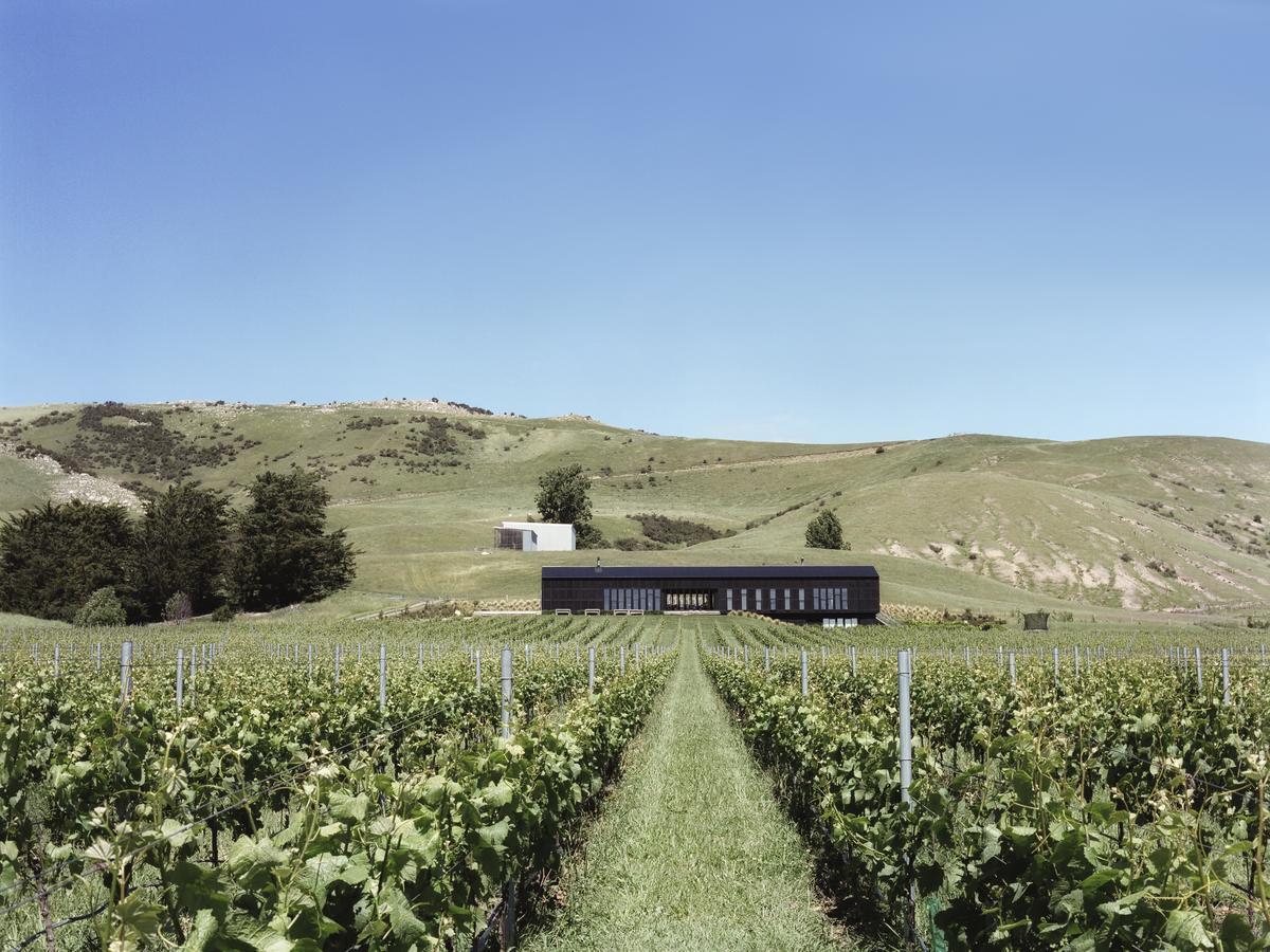 Black Estate B & B Waipara エクステリア 写真