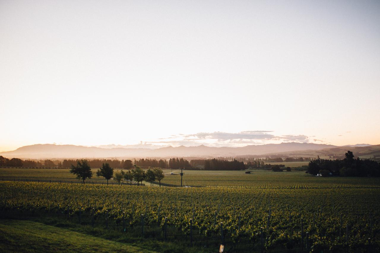 Black Estate B & B Waipara エクステリア 写真